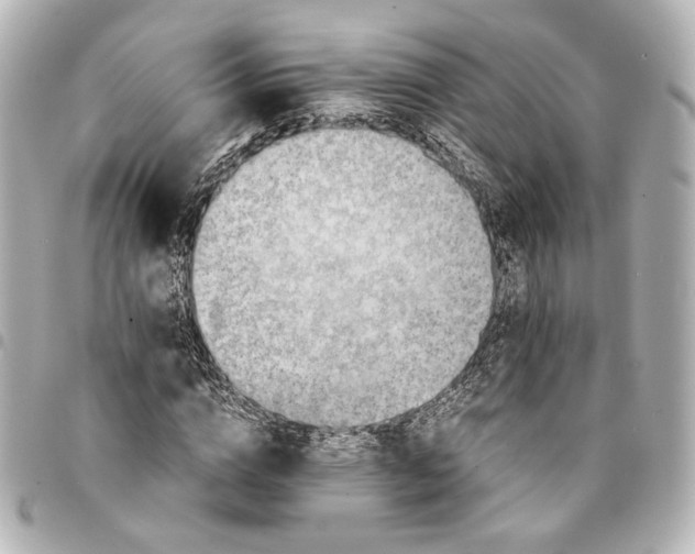 X0000095520824200712281458