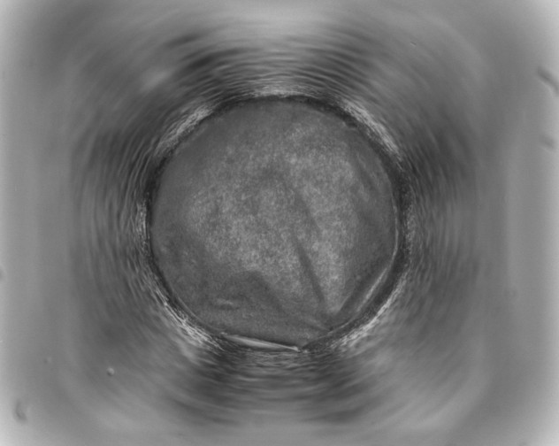 X0000095520825200712281458