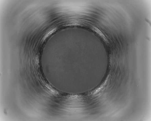 X0000095520826200712281458