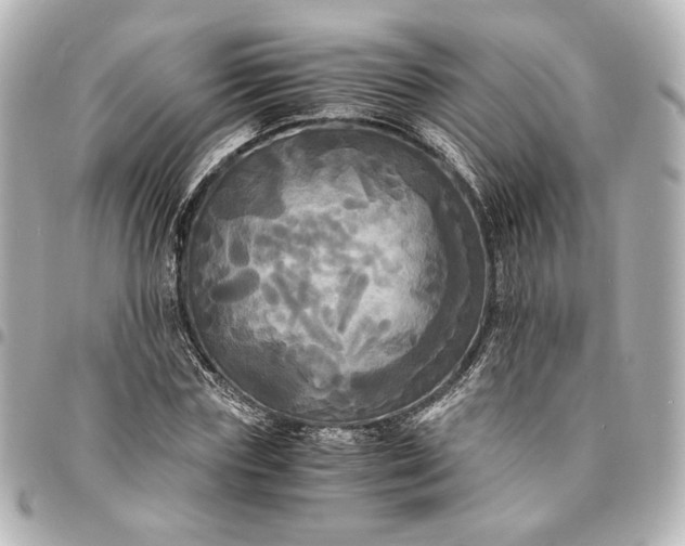 X0000095520827200712281458