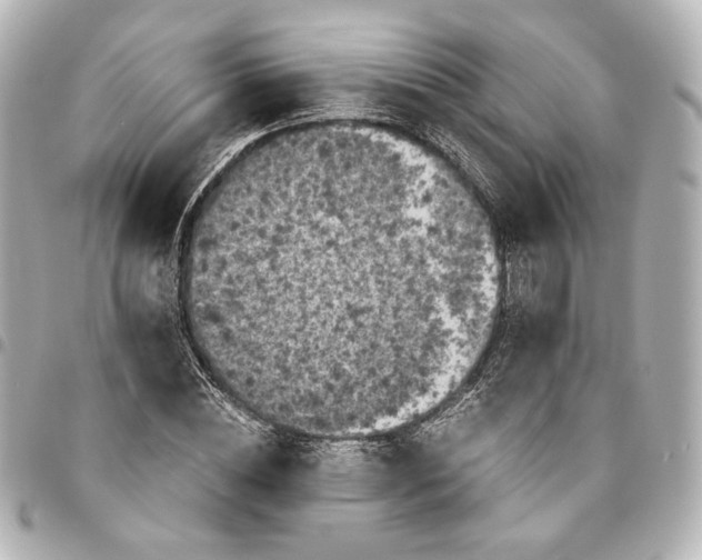 X0000095520828200712281458