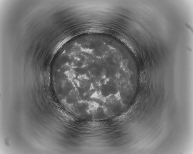 X0000095520829200712281458