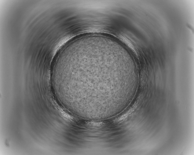 X0000095520831200712281458