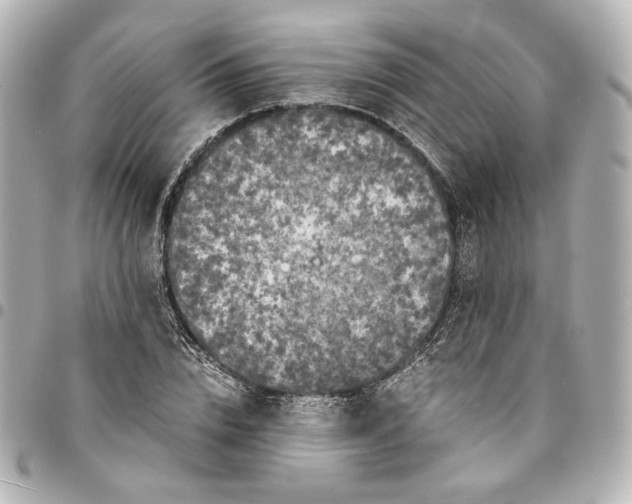 X0000095520832200712281458