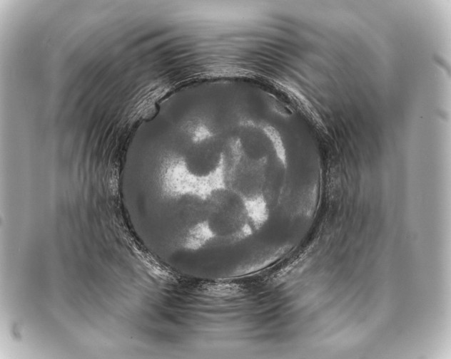 X0000095520833200712281458