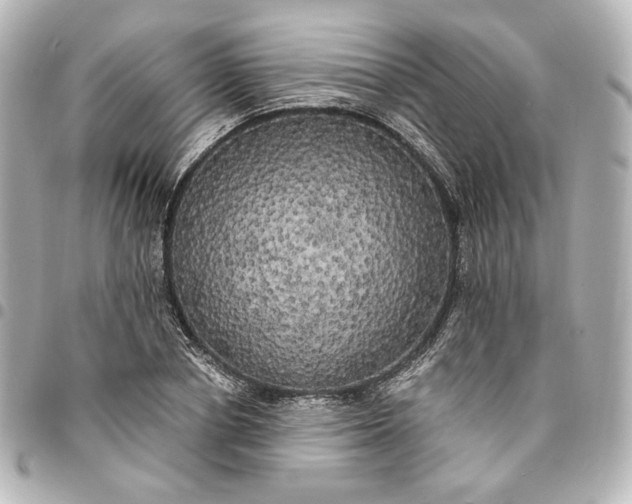 X0000095520834200712281458