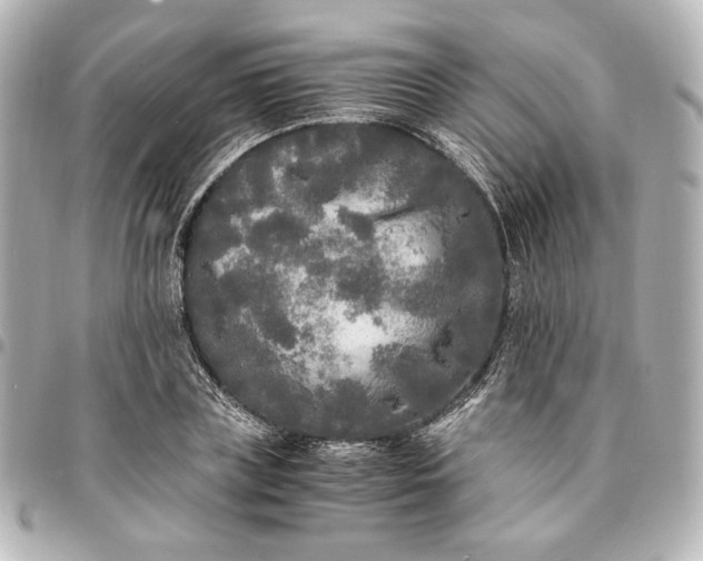 X0000095520835200712281458