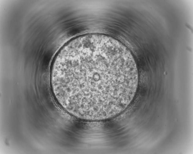 X0000095520836200712281458