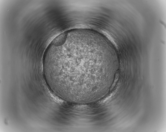 X0000095520837200712281458