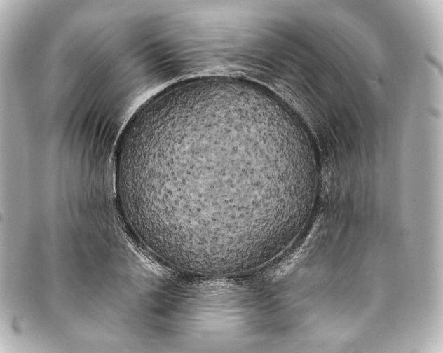 X0000095520838200712281458