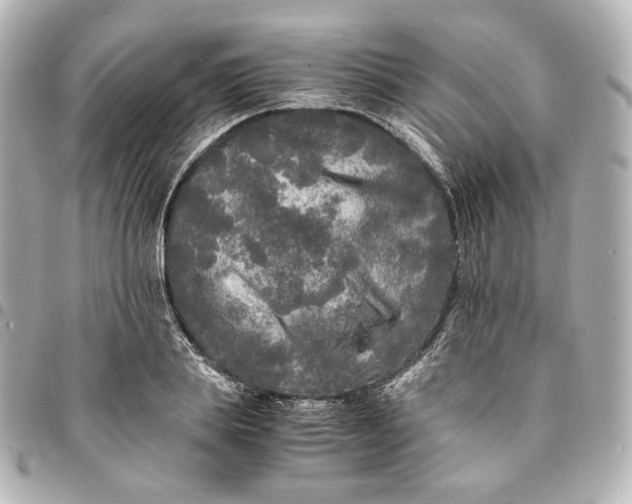 X0000095520839200712281458