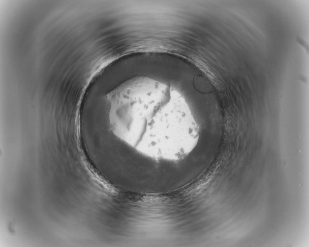 X0000095520840200712281458