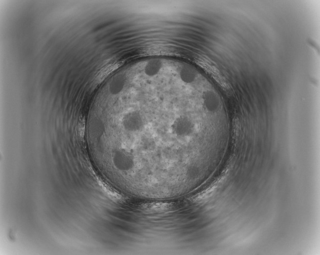 X0000095520841200712281458