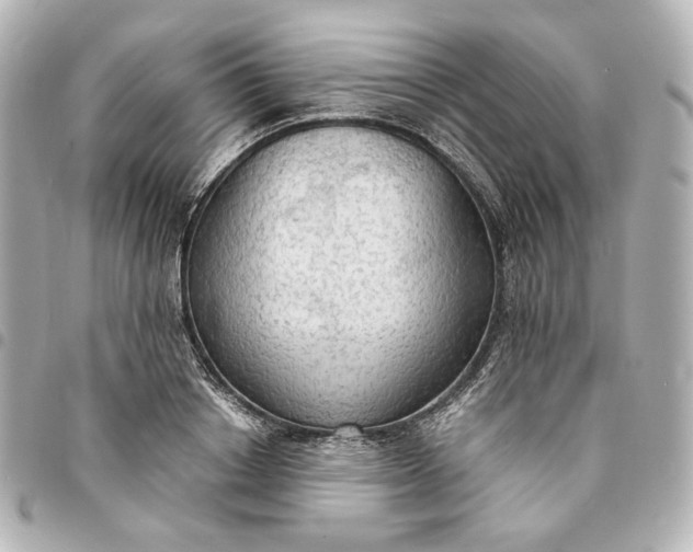 X0000095520842200712281458