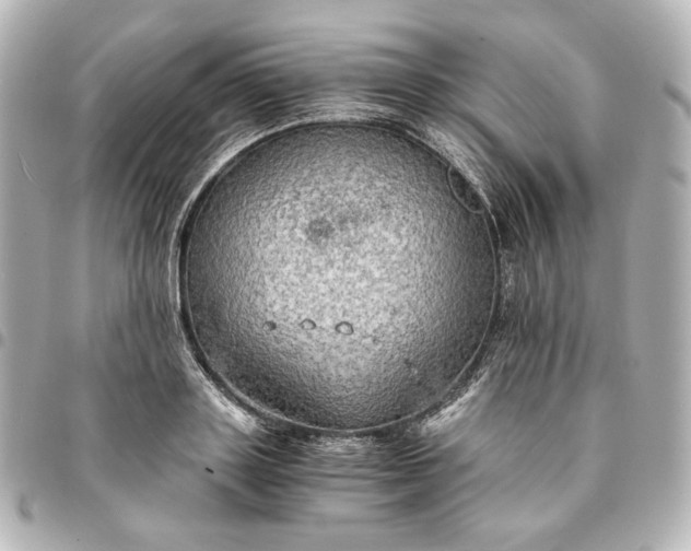 X0000095520843200712281458