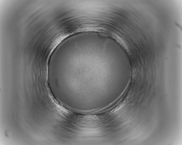 X0000095520844200712281458