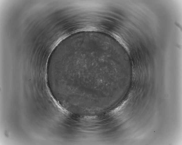 X0000095520845200712281458