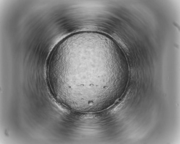 X0000095520846200712281458