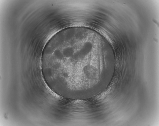 X0000095520847200712281458