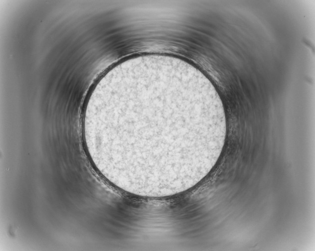 X0000095520848200712281458