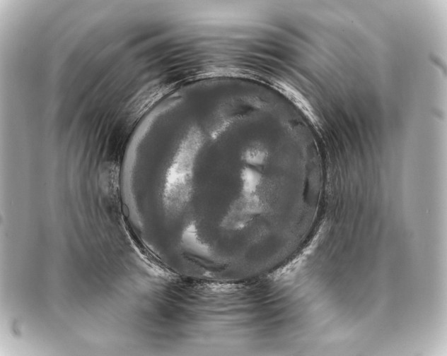 X0000095520849200712281458