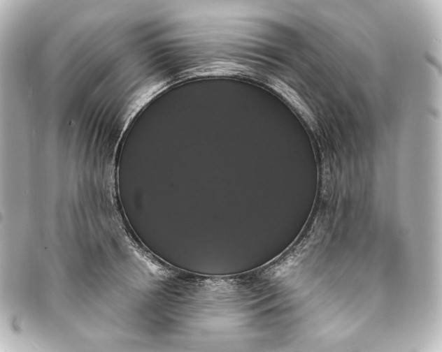 X0000095520850200712281458