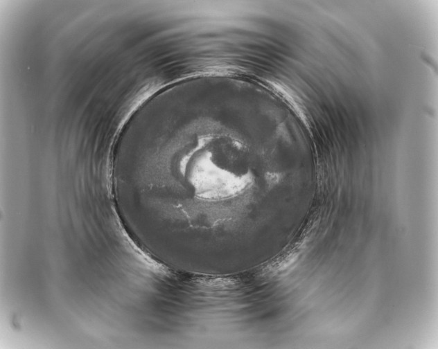 X0000095520851200712281458