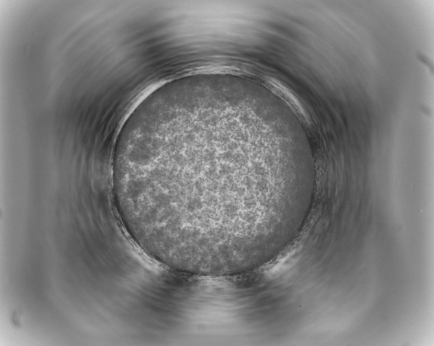 X0000095520852200712281458