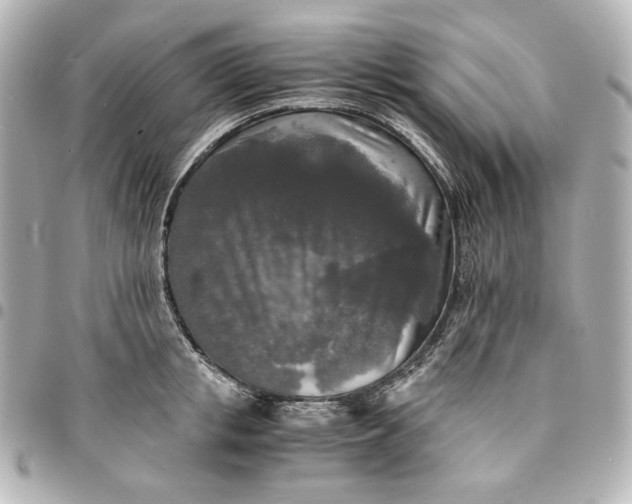 X0000095520853200712281458