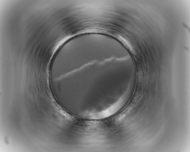 X0000095520854200712281458