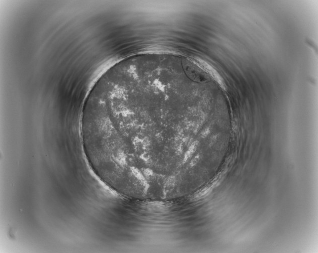 X0000095520855200712281458