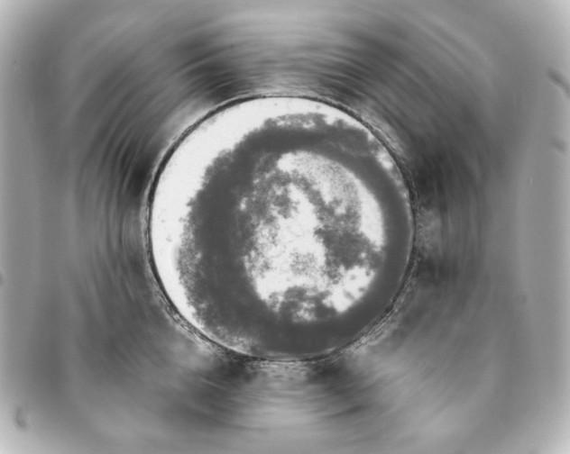 X0000095520856200712281458