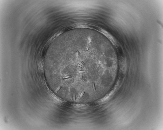 X0000095520857200712281458