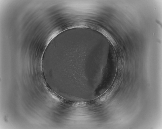 X0000095520858200712281458