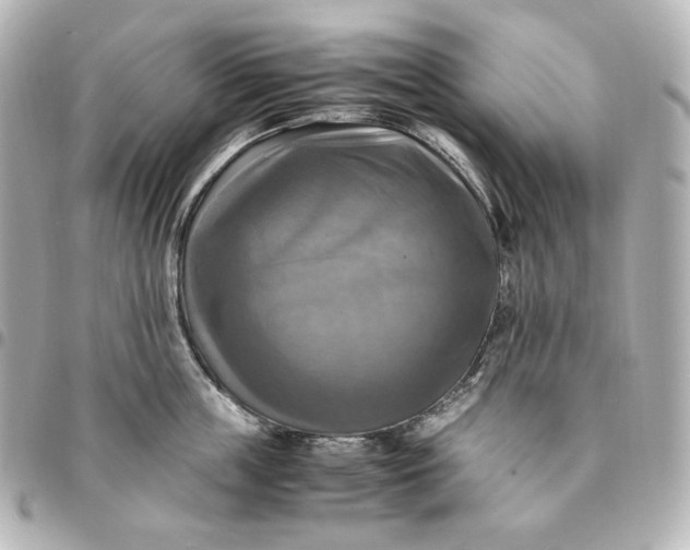 X0000095520859200712281458