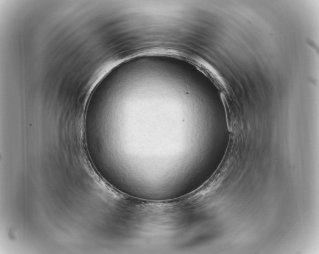 X0000095520860200712281458