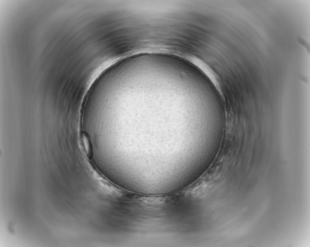 X0000095520861200712281458