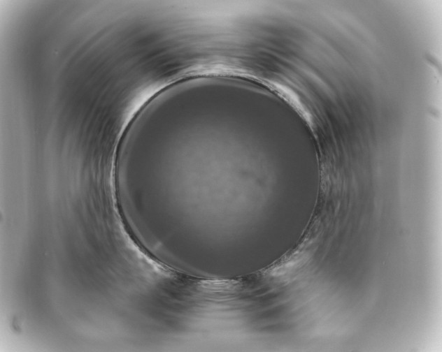 X0000095520863200712281458