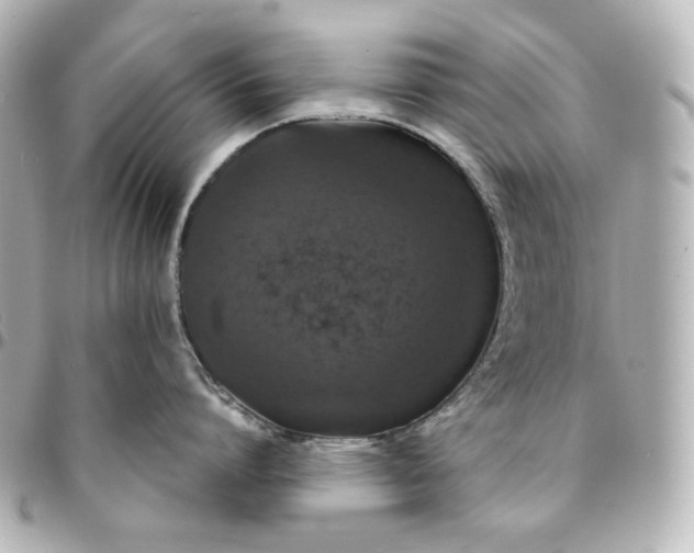 X0000095520864200712281458