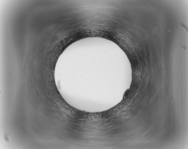 X0000095520865200712281458