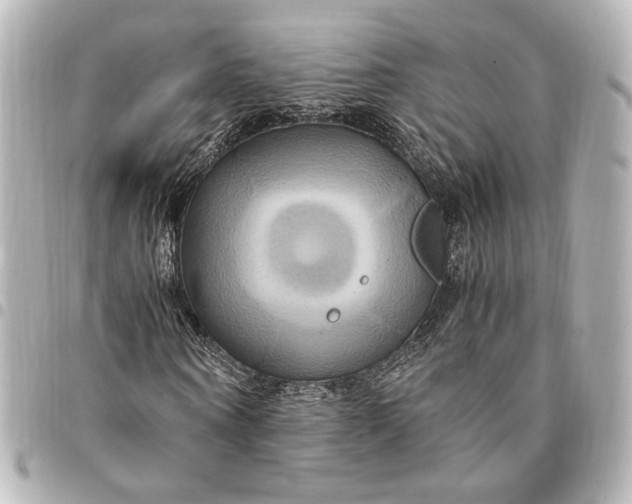 X0000095520866200712281458