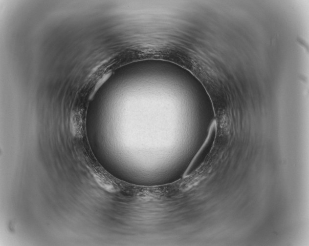 X0000095520868200712281458