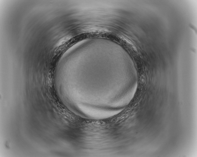 X0000095520869200712281458