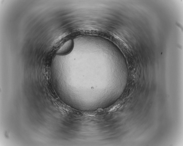 X0000095520870200712281458