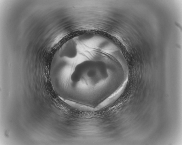 X0000095520871200712281458