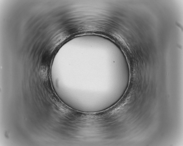 X0000095520873200712281458