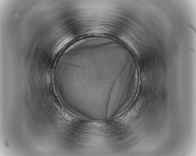 X0000095520874200712281458