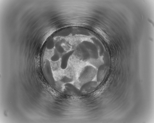 X0000095520875200712281458