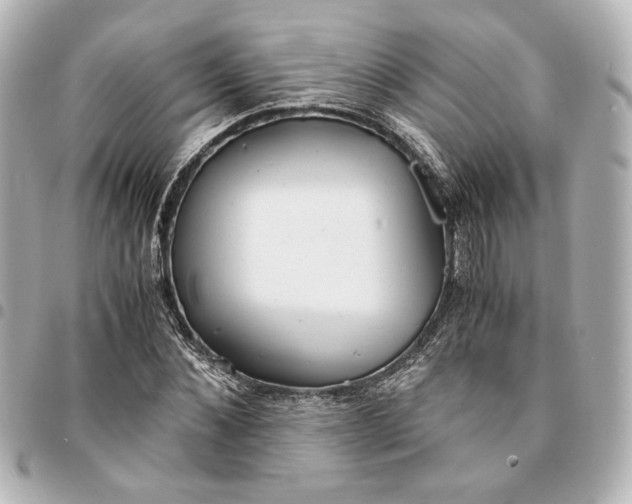 X0000095520876200712281458