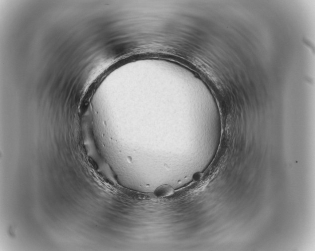 X0000095520877200712281458